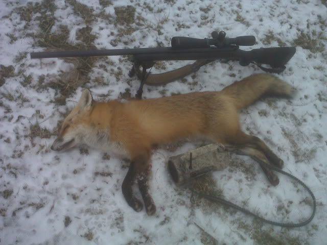 fox10-22-10.jpg