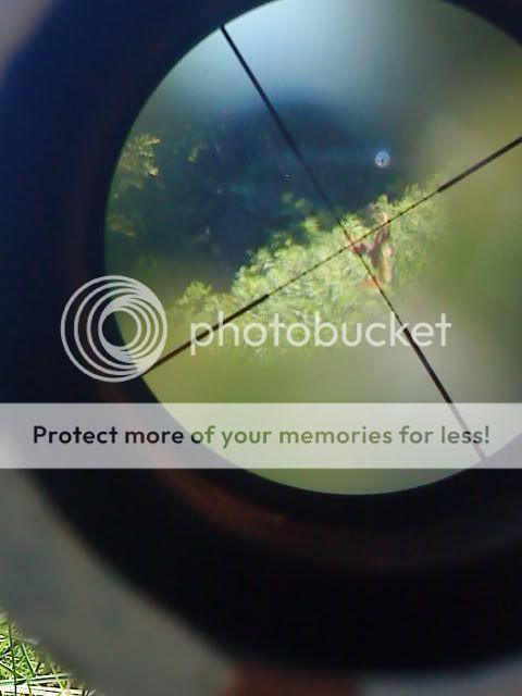 buckthruscope.jpg