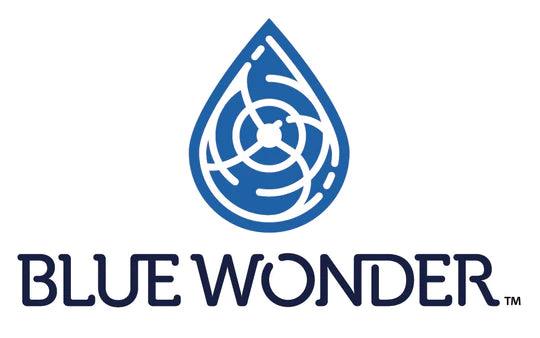 www.bluewonderguncare.com