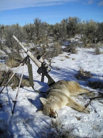coyote-hunting-gear-001.jpg