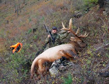 pressured-elk-hunting-001.jpg