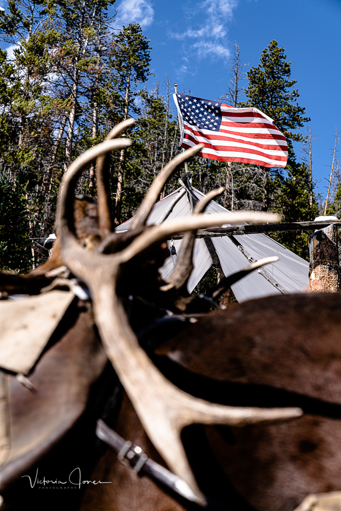 2019_Elk_Camp_Antlers _American Flag (1 of 1).jpg