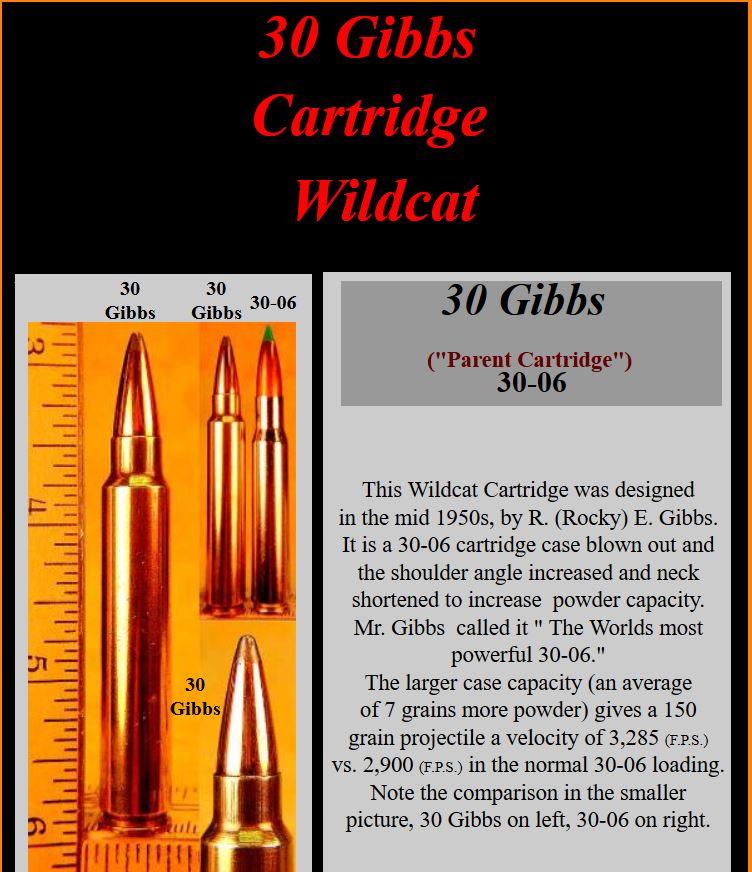 .30 GIBBS cartridge.JPG