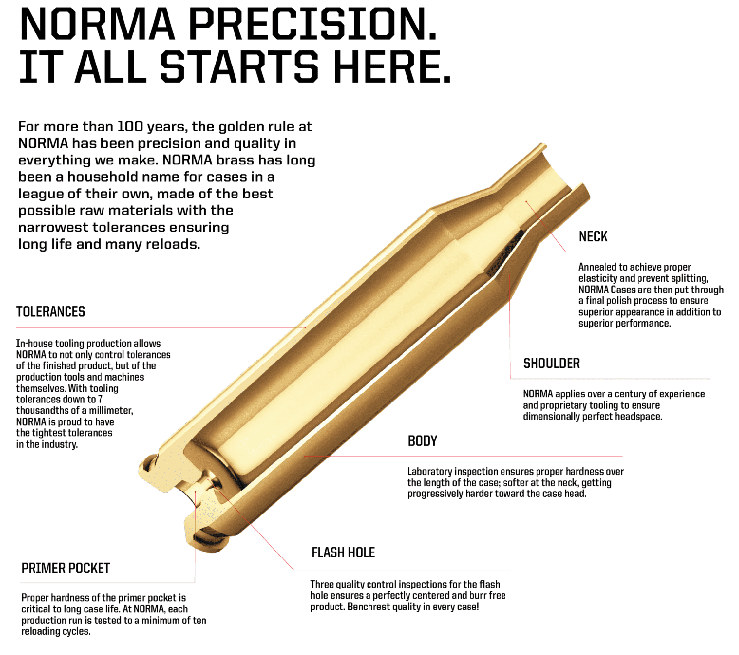 300 Norma 2.png