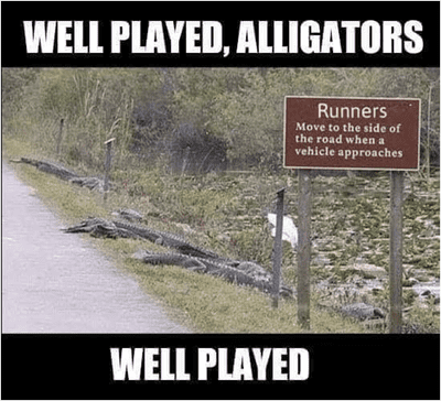 alligators.png