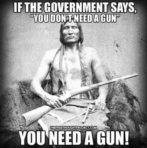 if-the-government-says-you-donpt-need-a-gunp-thefreethoughtproject-com-2985533.png