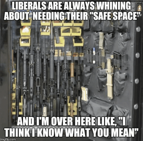 liberals-are-alwayswhining-about-needing-their-safe-space-and-im-24206029.png