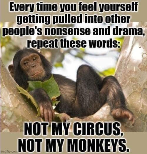 Not my circus not my monkeys.jpg