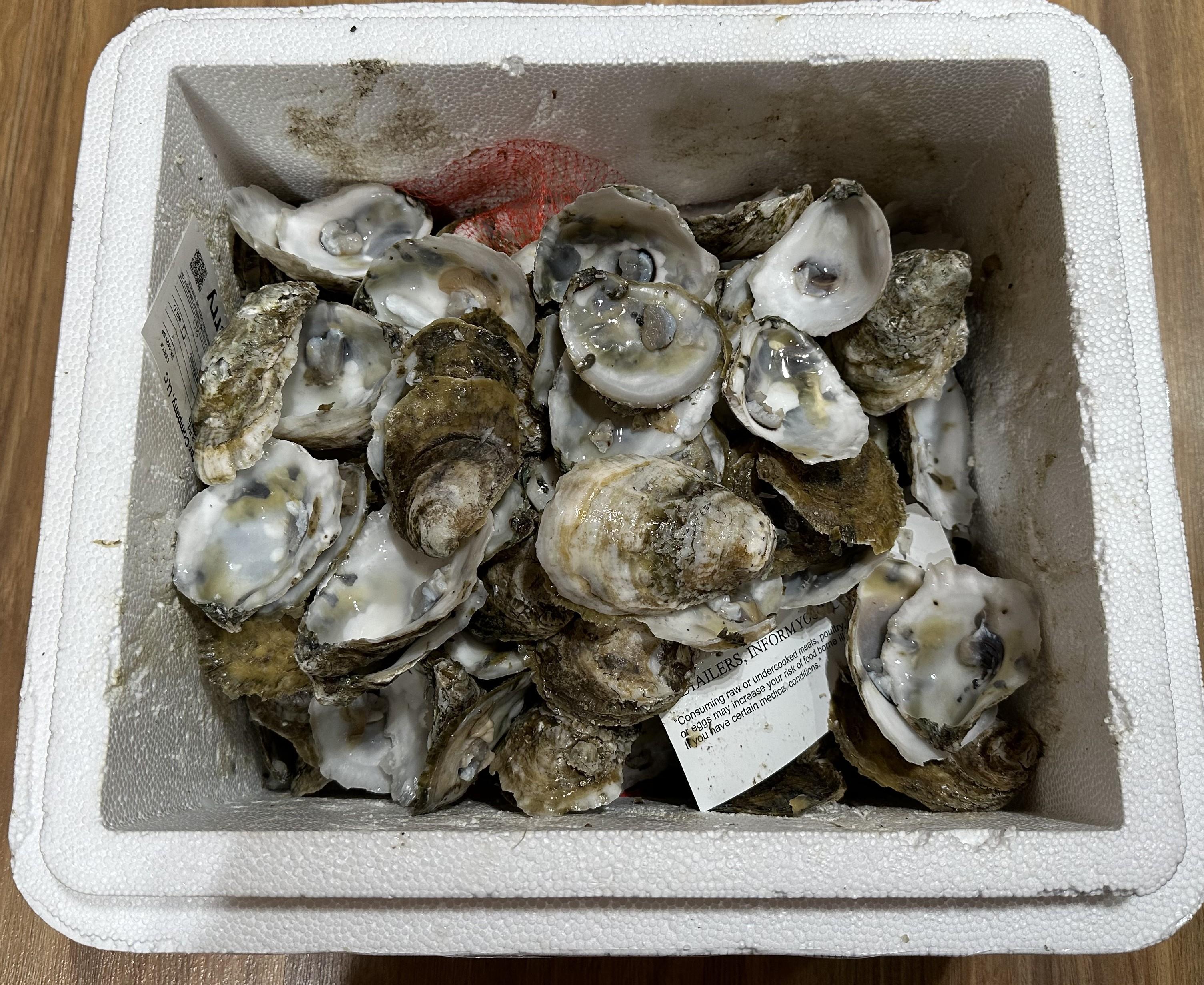 Oysters 2 of 3.jpg