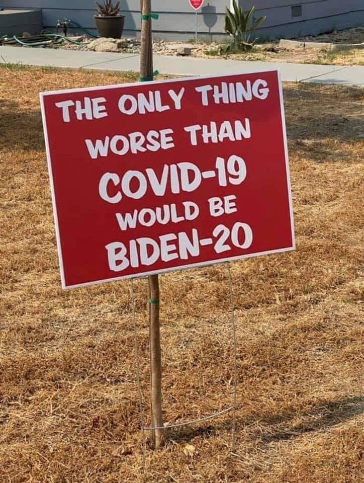 The only thing worst than COVID-19 id Biden 20.jpg