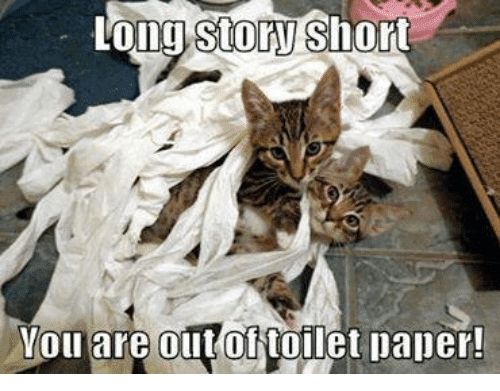 toilet-paper-cat-long-story-short-you-are-out-of-toilet-paper.png
