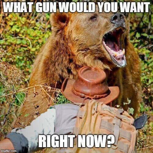 What gun would you want now GRIZZLY BEAR.jpg