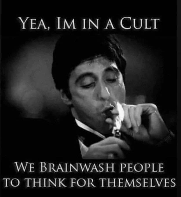 Yea I am a cult.jpg