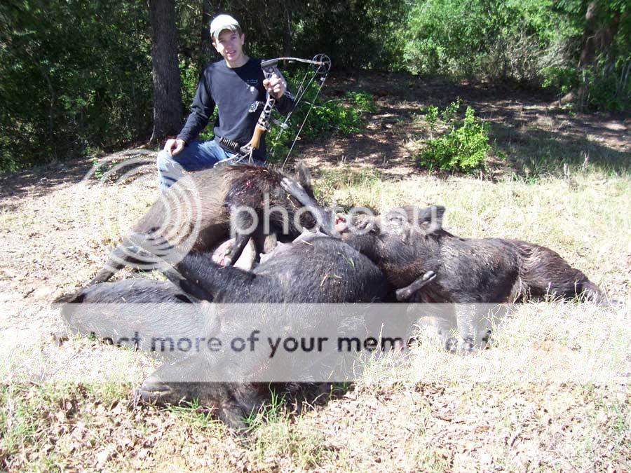 Logan-with-pile-of-hogs.jpg