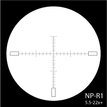 NP-R1-22x-1.gif