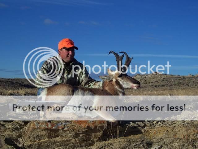 Antelope2010026.jpg