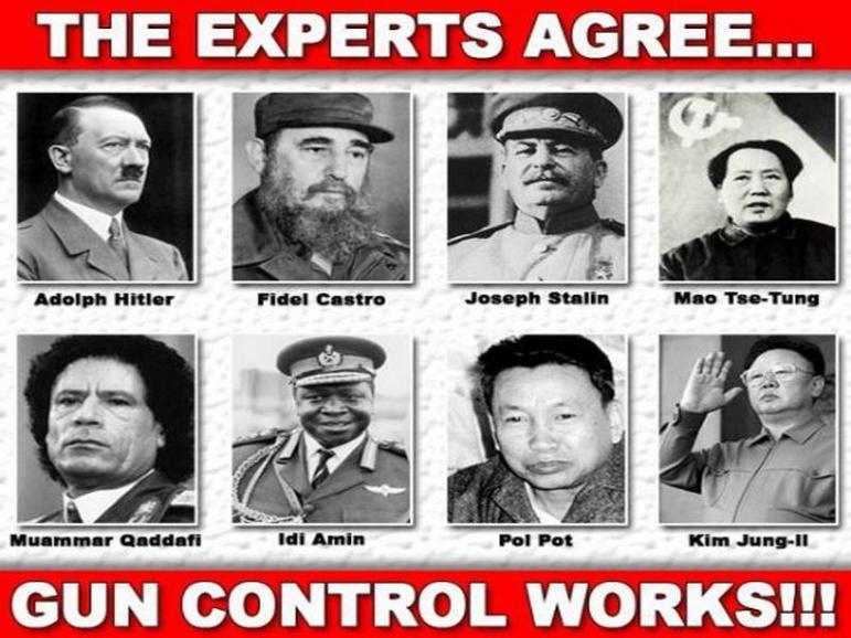hitler-experts-agree-gun-control-works.jpg