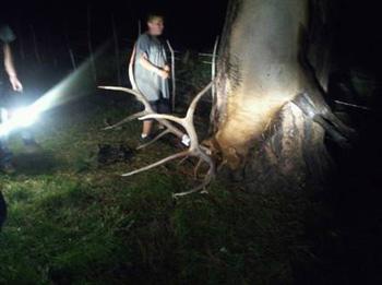 12-year-old-elk-hunter-004.jpg