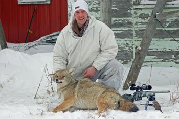 extreme-weather-coyotes-004.jpg