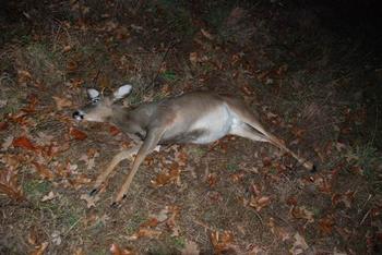 first-deer-hunt-008.jpg