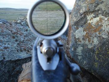 pass-shooting-coyotes-006.jpg