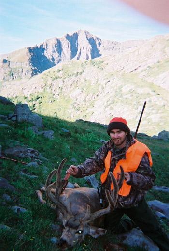 hunting-high-country-mule-deer-001.jpg