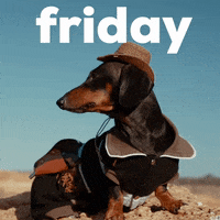 Its Friday Dog GIF by GIPHY Studios Originals